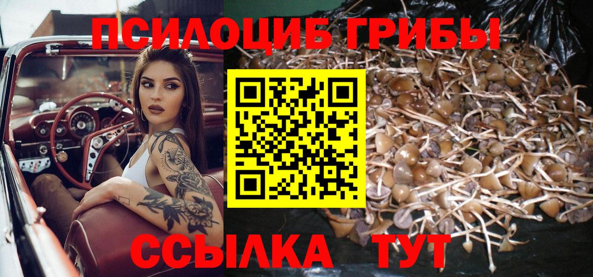 Орёл  Галлюциногенные грибы Cubensis  Псилоцибиновые грибы ЛСД  Вход с VPN 